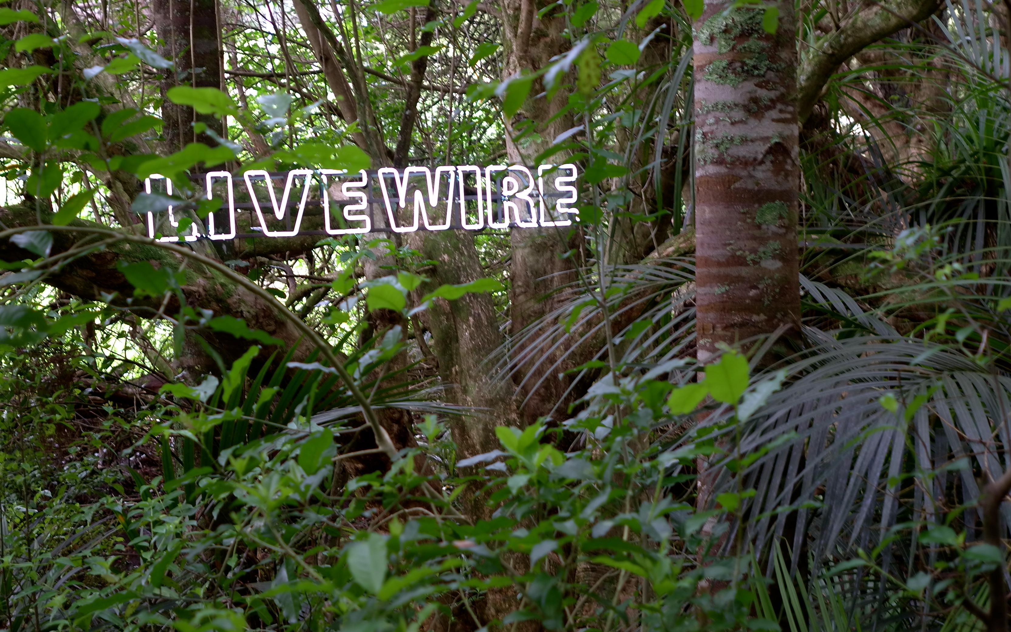 'Live Wire' by Mary-Louise Browne (Brick Bay Sculpture Trail)