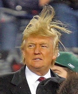 donald-trump-bad-hair.jpg?w=529
